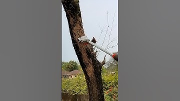 Stihl Chainsaw Machine #shorts #youtubeshorts #short #video #rvtelecast