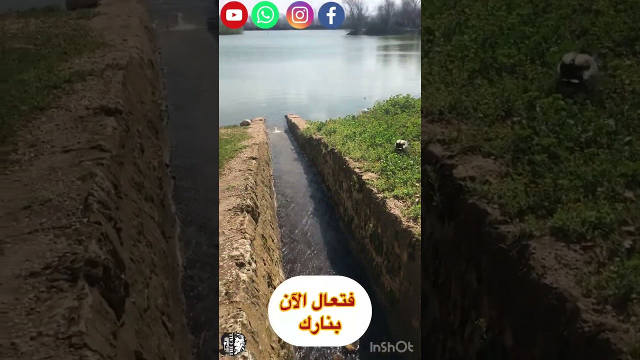 ترنيمة أنت قد اشتهيتني- ماجي ليون | اجتماع العبادة