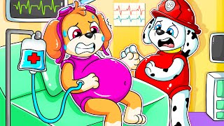 Skye Has a Baby!! - Skye is Cute Pregnant?? - Paw Patrol Ultimate Rescue - Rainbow Friends 3