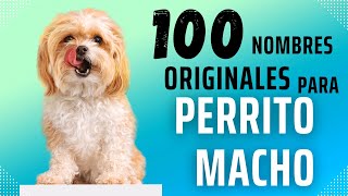 100 NOMBRES🐶 PARA PERROS MACHOS 100% ORIGINALES😳 2023👀😍