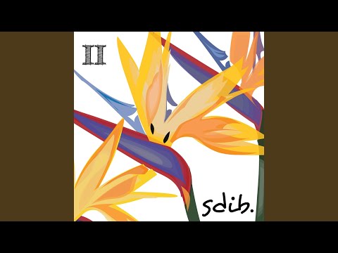 SDIB - Cruise Day