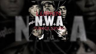 N.w.a - Chin Check Türkçe Çeviri