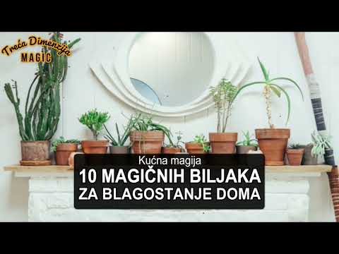 Video: Koja je definicija kultiviranih biljaka?