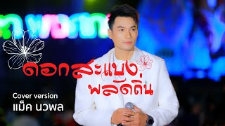 ดอกสะแบงพลัดถิ่น Cover by แม็ค นวพล