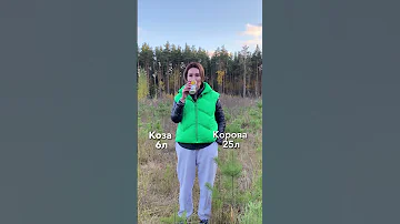 Сколько литров молока даёт коза и корова в день? #shorts #ферма #козоводство