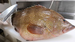 腹パンパンすぎる魚のお腹を開くとまさかの病気だった、、