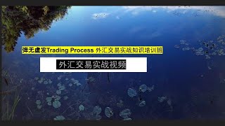 弹无虚发实战视频34：今日有视频有真相的获利方法：弹无虚发Trading Process课程；外汇交易实战图例和视频；background music  the Sea 202312281038