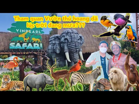 Video (Safari Phú Quốc)❤Khám phá vườn thú hoang dã lớn nhất... - youtube
