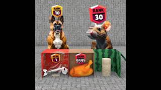 The Dog Vs The Mouse - Choose The Right Food To Level Up Rank 9999 👍️