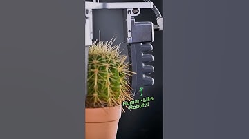 Deze robot heeft een verrassend menselijk tintje 🤔