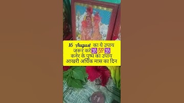 कनेर के पुष्प के उपाय#pradeepmishraji #shivmahapurankatha#mhadevbhakt #shivling