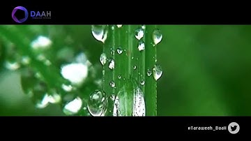 جديد   سورة غافر للشيخ د ياسر الدوسري  رمضان 1435   نادرة