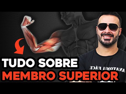 Vídeo: O que um braço de controle superior faz?