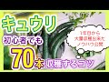 家庭菜園１年目でも、キュウリを70本収穫するコツ　～狭い庭で家庭菜園～