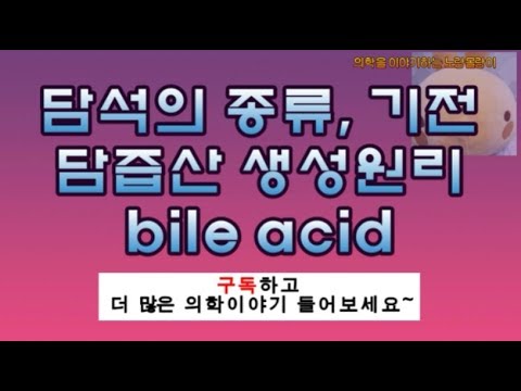 담석증(Cholelithiasis, 쓸개돌, gallbladder stone) 종류와 발생원리, 담즙산(Bile acids) 생성과정