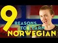 9 Reasons to Learn Norwegian║Lindsay Does Languages