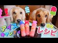 犬用アイスの作り方/犬にアイスキャンディーを作ってみた!【100均】ダイソーアインスキャンディーメーカー