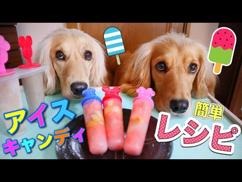 犬用アイスの作り方/犬にアイスキャンディーを作ってみた!【100均】ダイソーアインスキャンディーメーカー
