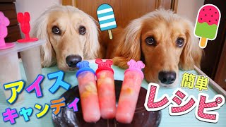 犬用アイスの作り方/犬にアイスキャンディーを作ってみた!【100均】ダイソーアインスキャンディーメーカー