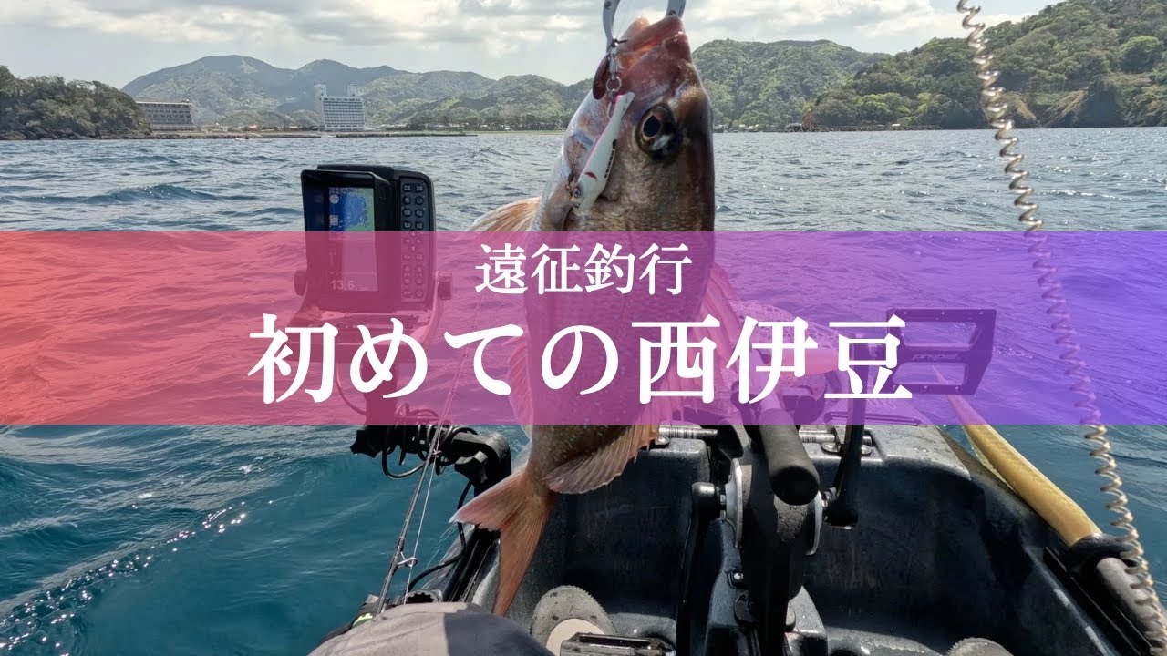 【遠征釣行】初めての西伊豆｜４月