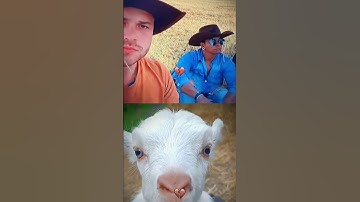 Give this video a title (wrong answers only) #memes #viral #funny #comedy