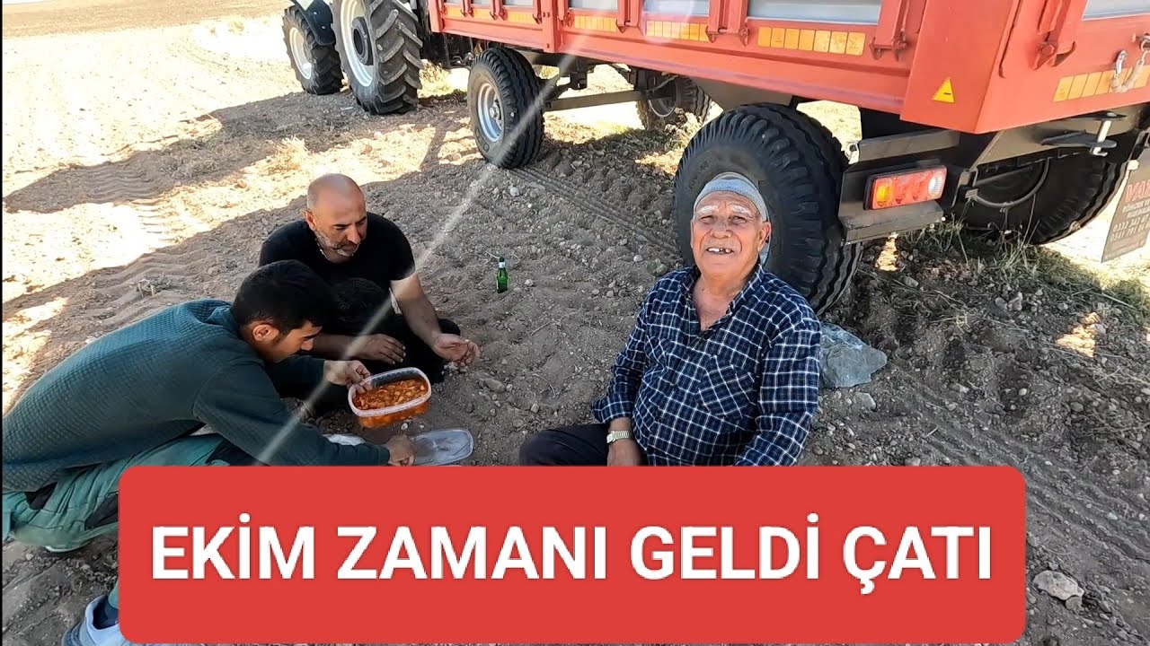 EKİM ZAMANI YOĞUN ÇALIŞMA BAŞLADI TEKRARDAN
