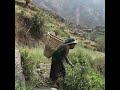 Rural Life in the Village: Harvesting and Cooking Together