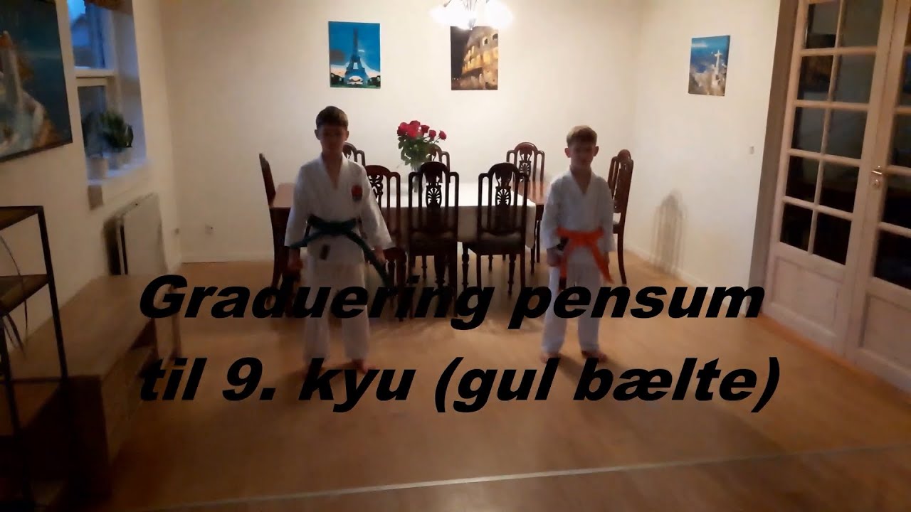 Graduering pensum  til 9.  kyu (gul bælte)