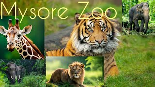 Mysore Zoo 2023|Sri Chamarajendra Zoological Gardens | One of the Oldest & Largest Zoo in India