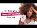 HOW TO: Dry Detangle Extremely Tangled Natural Curly Hair