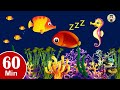 60 mins Bedtime Lullabies and Calming Undersea Animation  Baby Lullaby Sleep and Relaxing music