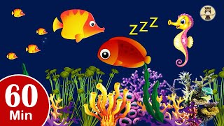 60 mins Bedtime Lullabies and Calming Undersea Animation  Baby Lullaby Sleep and Relaxing music