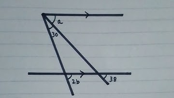Angle Properties and Parallel Lines || Exercise 10B || Question 3(a) || O Level Maths D1