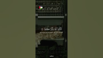 ✨️خير الله آت ! 🇵🇸🍉#قرآن #اكسبلور #تلاوة_خاشعة #islamic #المصحف #فلسطين #غزة #fyp #palestine