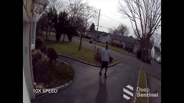 Deep Sentinel Security system review