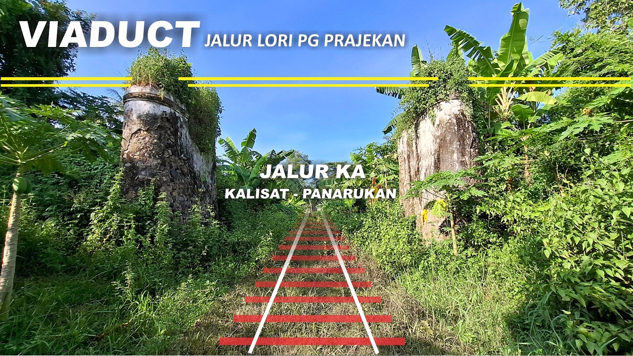 Соединение железнодорожной линии, ведущей к плантациям сахарного тростника в Праджекане, с поездом.