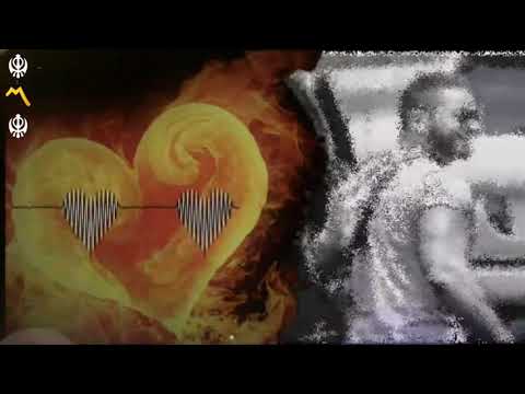 Tamer Hosny Helm Snin