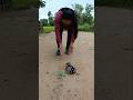 Lovely Animal SokYaa Sokhaa To To And Mom Are Famous Amazing Shorts Lovely Animal SokYaa Sokhaa To To And Mom Are Famous Amazing Shorts