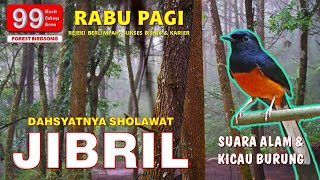 SHOLAWAT JIBRIL PENARIK REJEKI 99 MENIT DENGAN SUARA KICAU BURUNG | RABU PAGI