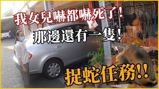 【緊急】緊急出動眼鏡蛇竟出沒家中驚魂民眾表示「我女兒都快嚇死了而且旁邊還有一隻」TRG用臉探險 | EP52