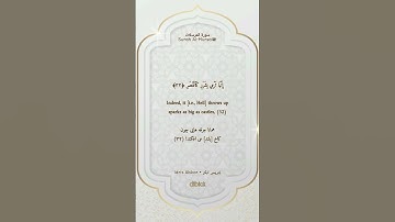 تلاوت قرآن کریم - سوره المرسلات ۳۷-۲۸ | ترجمه فارسی