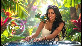 Emerald Isle Remix – Celtic Guitar DJ Fusion | Irish Folk Dance Vibes | NCV - Copyright Free Music