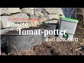 Smart tomat-potte med bokashi | Lag egen jord og dyrk tomater utendørs