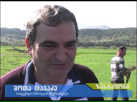 სასტენდო სროლა ხოხოულაში