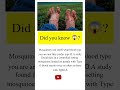 You Won’t Believe This 🤯#DidYouKnow #FunFacts #AmazingFacts #1millionviews #ViralFacts #uk #usa