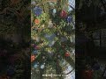 D&D | Queen's Garden Part 4 Grid | Animated Battle Maps