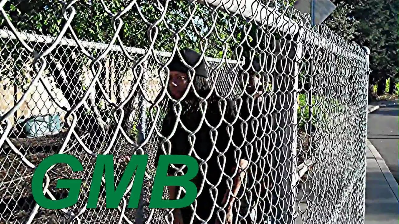 I Go Drastik P2 'I Rock I Rock"