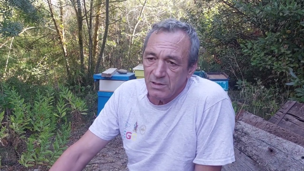 Как пчеловодить в Франции