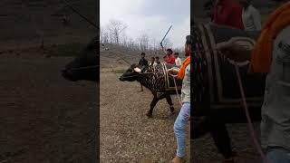 Download Lagu helo ki takkar😱#hele #helo #helokitakkar #helo ki takkar #takkar #nepanagar MP3 Download Lagu helo ki takkar😱#hele #helo #helokitakkar #helo ki takkar #takkar #nepanagar MP3