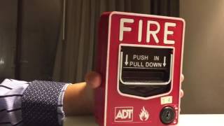 Larry Life ADT Fire Alarm Pull Station
